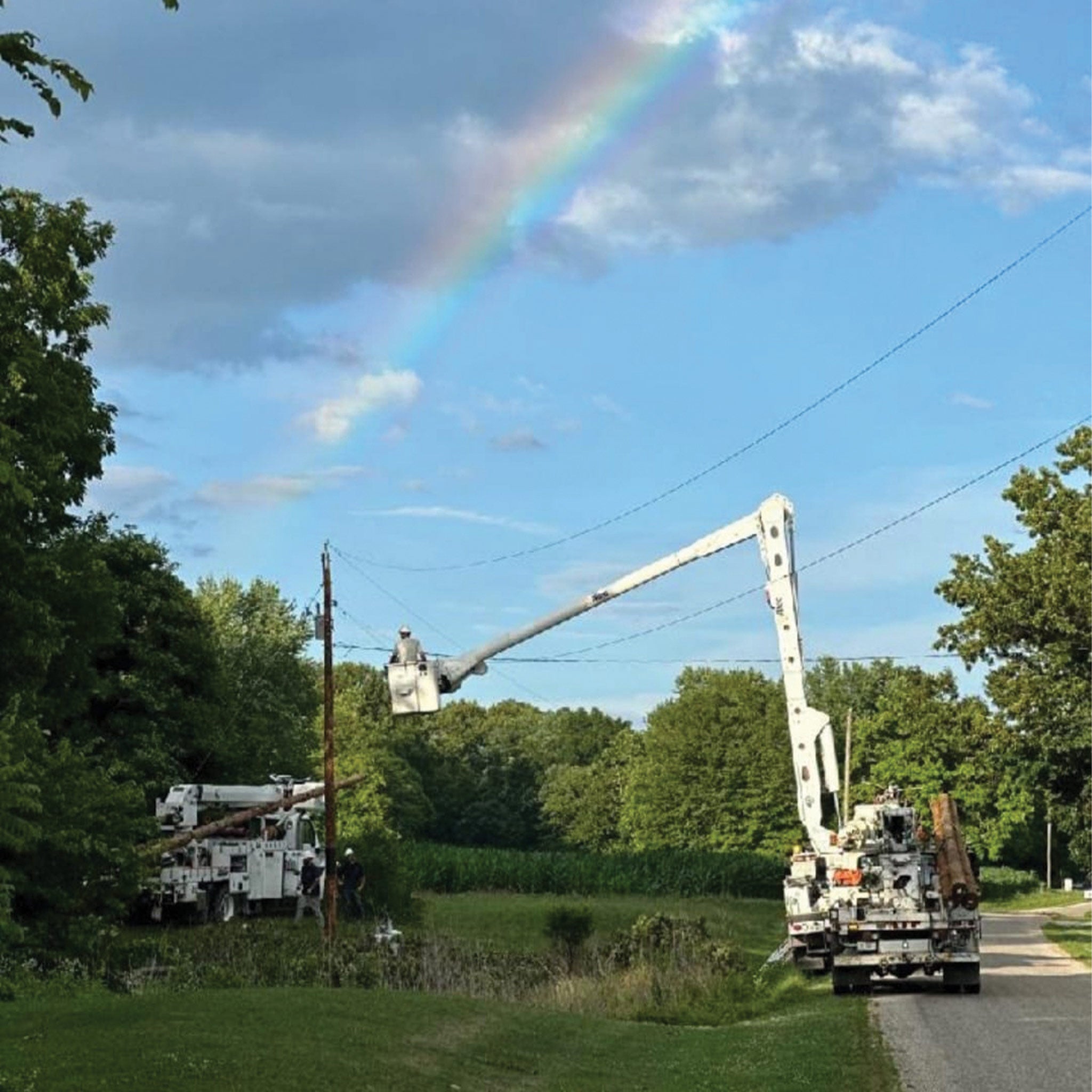 White bucket trucks working on electric lines with a rainbow above them