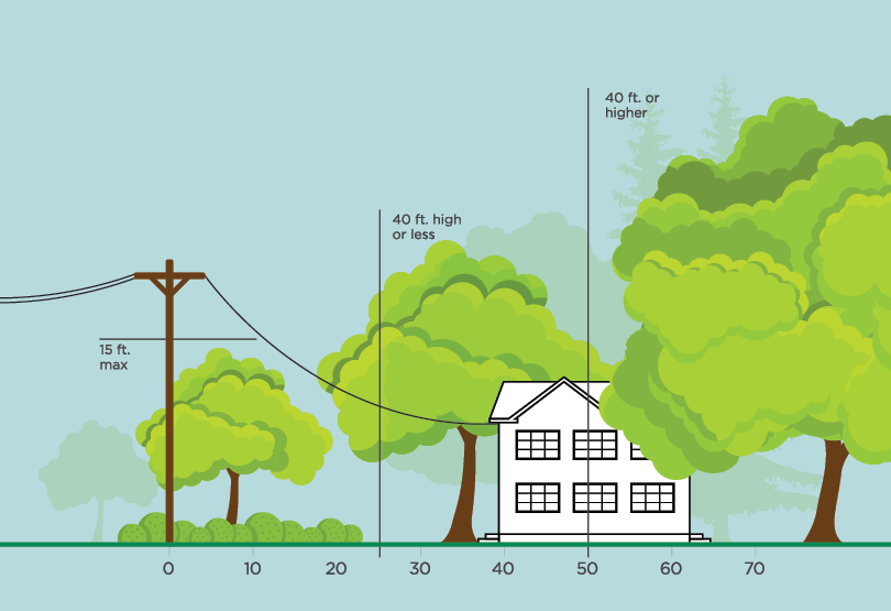 Illustration of where to plant trees for electrical safety